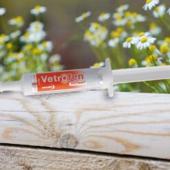 Vetrofen Intense Instant Syringe