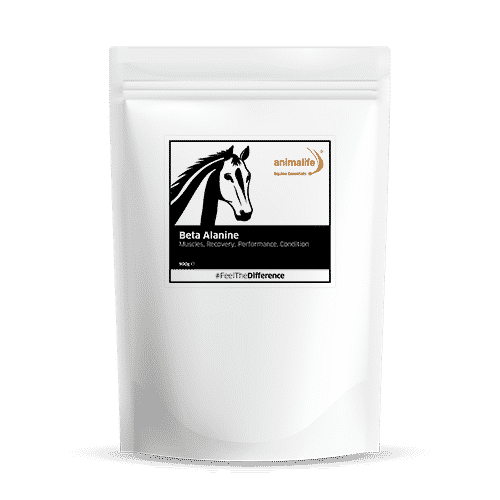 Beta Alanine For Horses, Buy Online