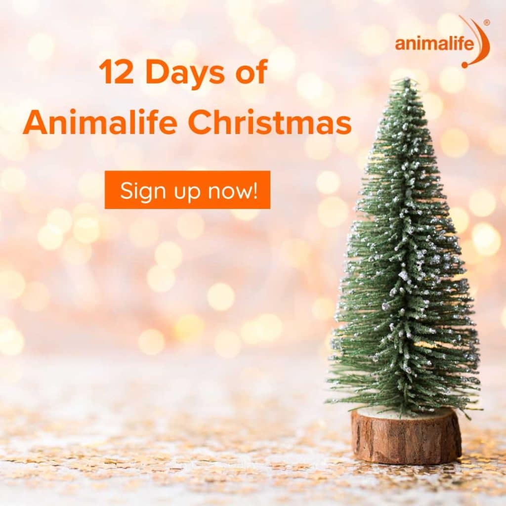 Animalife