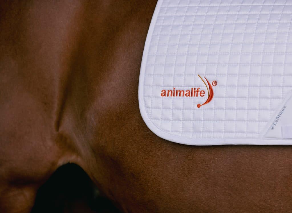 Animalife