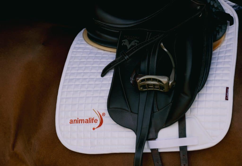 Animalife