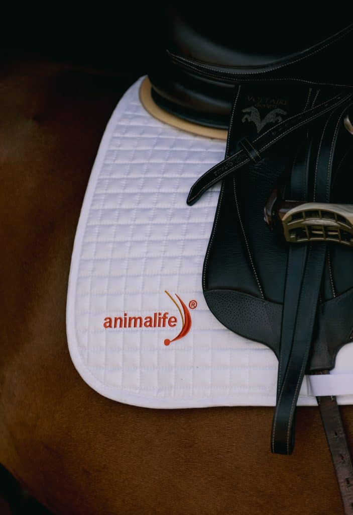 Animalife