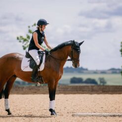 Team Animalife Dressage Pad