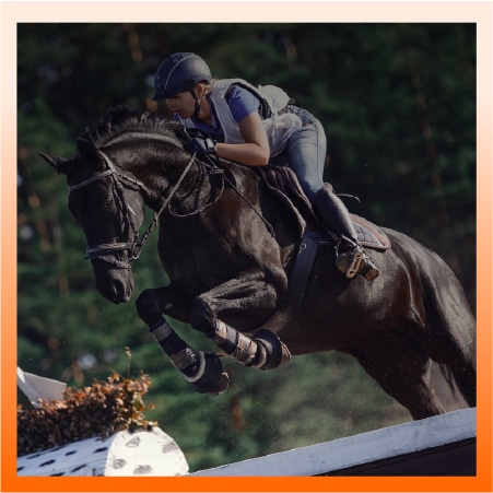 Eventing - Animalife