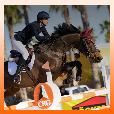 Show Jumping - Animalife